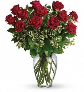 dozen_red_roses_in_boston-resized-600.jpg