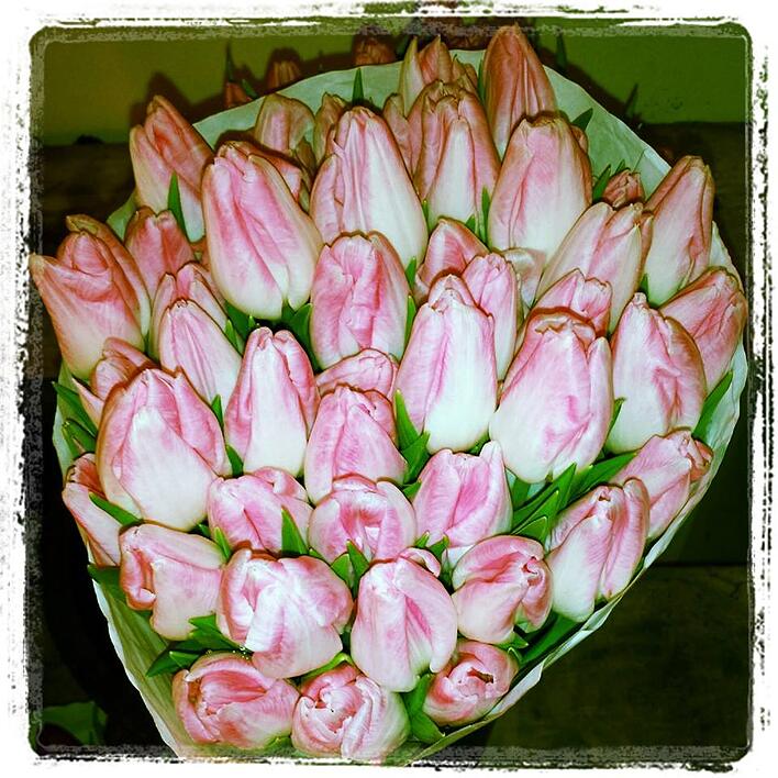 tulips_in_boston.jpg